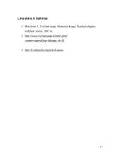 Gaisrai buityje. Padariniai ir priežastys 17 puslapis