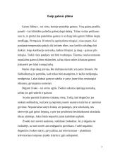 Gaisrai buityje. Padariniai ir priežastys 3 puslapis