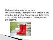 Bendrieji reikalavimai darbo higienai, higieninės darbo sąlygos 17 puslapis