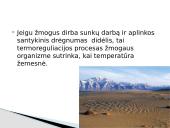 Bendrieji reikalavimai darbo higienai, higieninės darbo sąlygos 20 puslapis