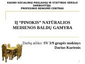 IĮ “Pinokis” natūralios medienos baldų gamyba pristatymas