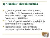 IĮ “Pinokis” natūralios medienos baldų gamyba pristatymas 2 puslapis