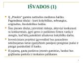 IĮ “Pinokis” natūralios medienos baldų gamyba pristatymas 11 puslapis