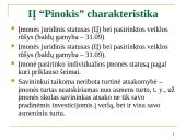 IĮ “Pinokis” natūralios medienos baldų gamyba pristatymas 3 puslapis
