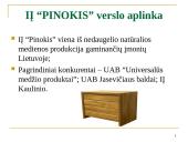 IĮ “Pinokis” natūralios medienos baldų gamyba pristatymas 6 puslapis