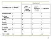 IĮ “Pinokis” natūralios medienos baldų gamyba pristatymas 7 puslapis