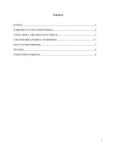 "Psichoterapijos studija" aprašymas 2 puslapis