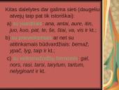 Dalelytė 6 puslapis