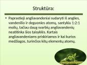 Angliavandenių tipai 3 puslapis