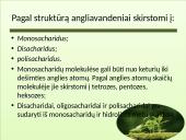 Angliavandenių tipai 4 puslapis