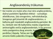 Angliavandenių tipai 7 puslapis