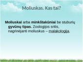 Viskas apie moliuskus 3 puslapis