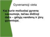 Viskas apie moliuskus 4 puslapis