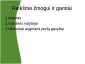 Viskas apie moliuskus 9 puslapis