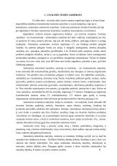 Civilinės teisės referatas 2 puslapis