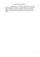 Civilinės teisės referatas 3 puslapis