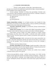 Civilinės teisės referatas 4 puslapis