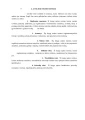 Civilinės teisės referatas 6 puslapis