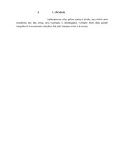 Civilinės teisės referatas 7 puslapis