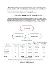 Autoservisas: verslo planas 12 puslapis