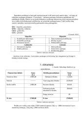 Autoservisas: verslo planas 13 puslapis