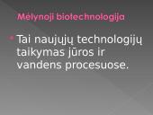 Biotechnologijos pagrindai 13 puslapis