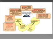 Biotechnologijos pagrindai 14 puslapis