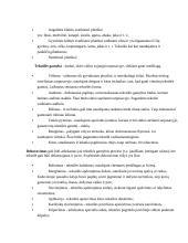 Lietuvos ūkio šakos - tekstilė 2 puslapis