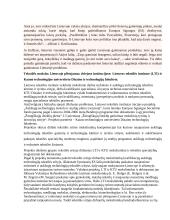 Lietuvos ūkio šakos - tekstilė 5 puslapis