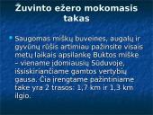 Lietuvos ir gyvūnijos rekordai 13 puslapis