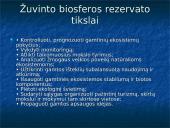 Lietuvos ir gyvūnijos rekordai 7 puslapis