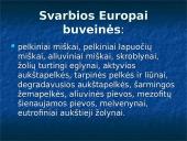 Lietuvos ir gyvūnijos rekordai 8 puslapis