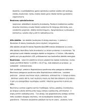 Radio aktyvumas 2 puslapis