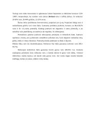 Vario gamyba 2 puslapis