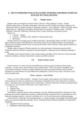 Apgyvendinimo paslaugos kaimo turizmo sodyboje 8 puslapis