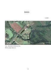 Kaimo turizmo sodybų palyginamoji analizė 13 puslapis