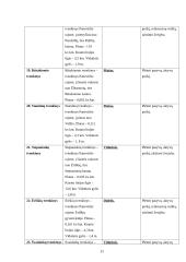 Panevėžio rajono rekreacinių veiklų modelis 11 puslapis