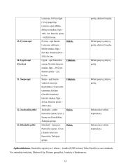 Panevėžio rajono rekreacinių veiklų modelis 13 puslapis