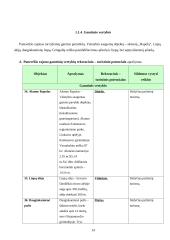 Panevėžio rajono rekreacinių veiklų modelis 14 puslapis