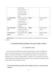 Panevėžio rajono rekreacinių veiklų modelis 15 puslapis