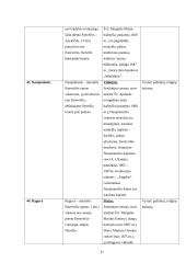 Panevėžio rajono rekreacinių veiklų modelis 17 puslapis