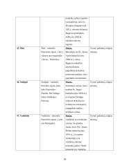 Panevėžio rajono rekreacinių veiklų modelis 18 puslapis