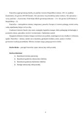 Panevėžio rajono rekreacinių veiklų modelis 4 puslapis