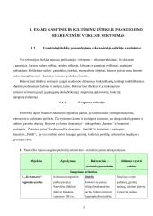 Panevėžio rajono rekreacinių veiklų modelis 5 puslapis