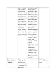 Panevėžio rajono rekreacinių veiklų modelis 6 puslapis