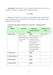 Panevėžio rajono rekreacinių veiklų modelis 8 puslapis