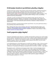 Sintetinis benzinas 2 puslapis