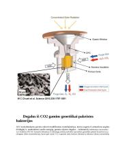 Sintetinis benzinas 3 puslapis
