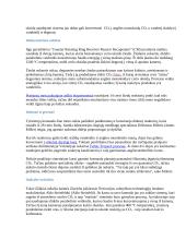 Sintetinis benzinas 5 puslapis