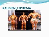 Anatomija ir fiziologija  2 puslapis